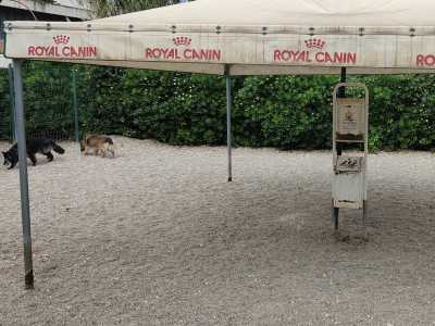 Poggiofranco � tra i pochi rioni a essere stato dotato di aree sgambatoio ad hoc, solo per cani. Oltre a una in via Camillo Rosalba ad angolo con via Generale Bonomo, ce n'� una seconda sul vialone Madre Teresa di Calcutta...